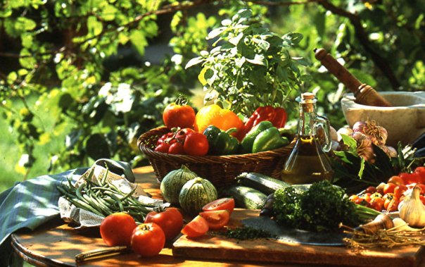 17870_1319446698584_1003287689_1030058_228913_n